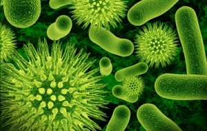 About Mold Growth and Remediation